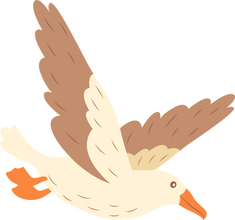 Oiseau Albatros mignon en vol  Illustration