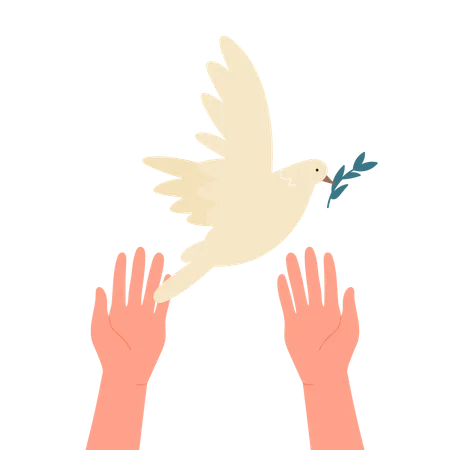 Oiseau de la paix  Illustration
