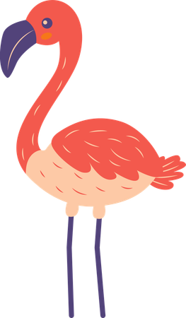 Oiseau flamant rose mignon  Illustration