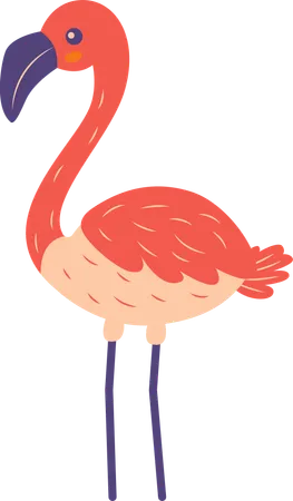 Oiseau flamant rose mignon  Illustration