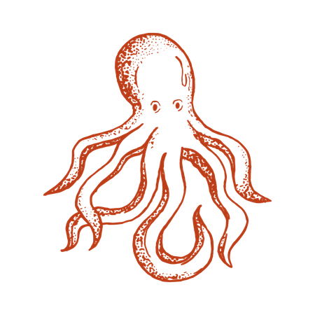 Oktopus  Illustration