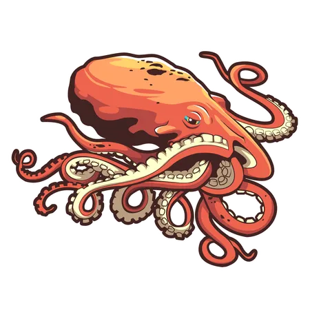 Oktopus  Illustration