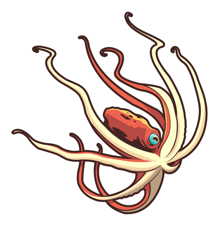 Oktopus  Illustration