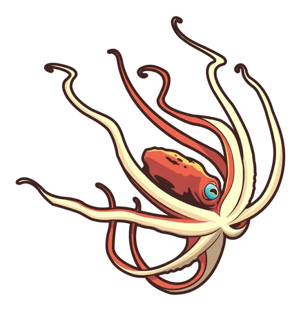 Oktopus  Illustration