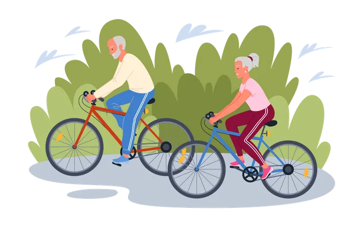 Old aged couple riding bicycle  Illustration