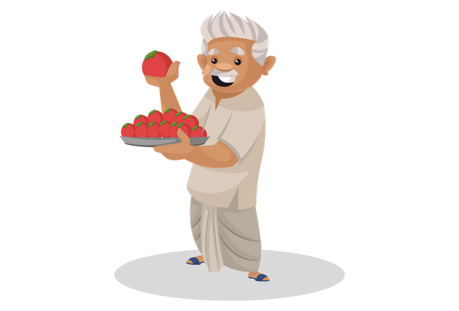 Old aged farmer holding plate of tomatoes in his hand  Illustration