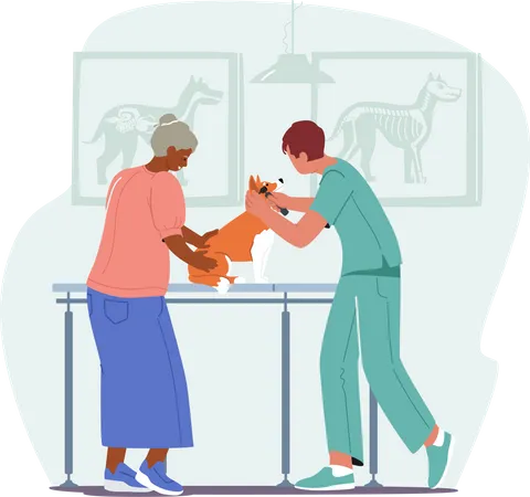 Old female dog owner at appointment in veterinary hospital Illustration