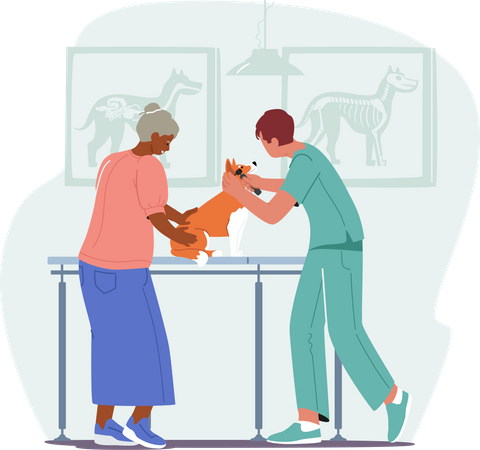 Old female dog owner at appointment in veterinary hospital  Illustration