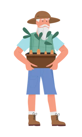 Old gardener holding plant  Illustration