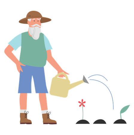 Old gardener watering plant  Illustration