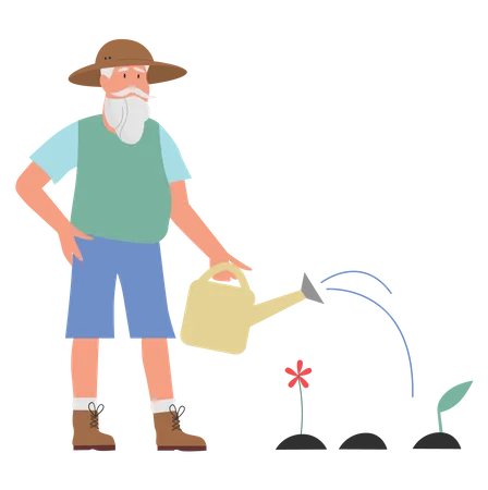 Old gardener watering plant  Illustration
