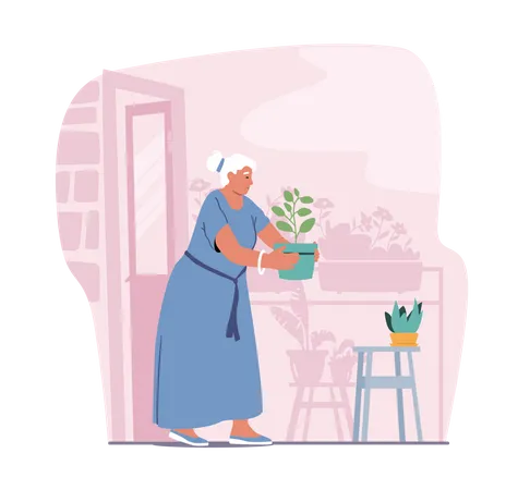 Old Lady Carry Flower Pot  Illustration