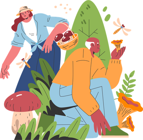 Old man and woman collecting mushroom  Illustration