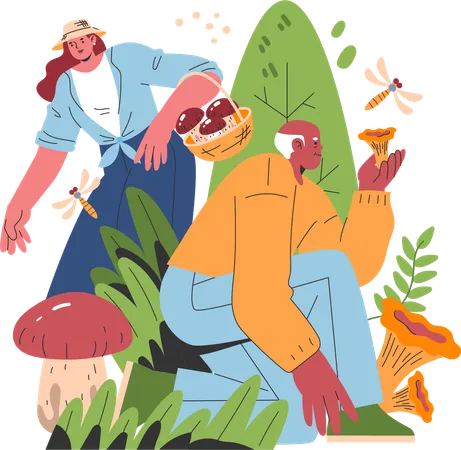 Old man and woman collecting mushroom  Illustration