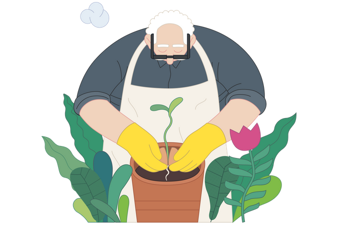 Old man planting a plant sibling into the pot  Illustration