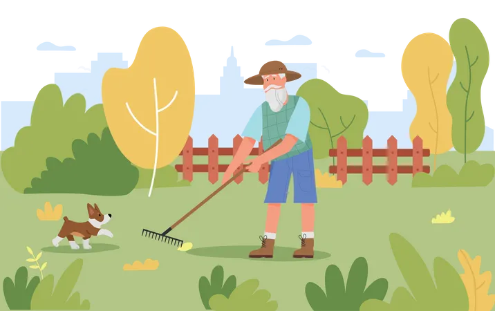 Old man remove leaves  イラスト