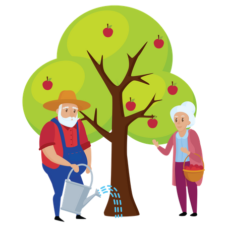 Old man watering to apple tree  Illustration