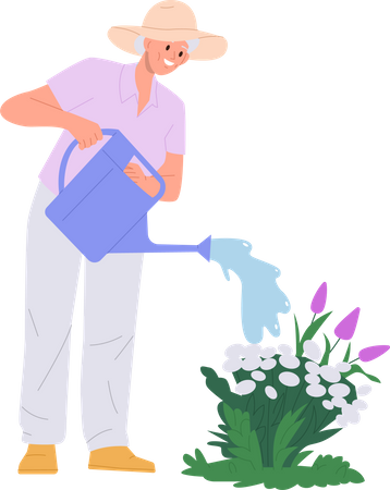Old woman watering flower from can sprayer doing garden work  Illustration
