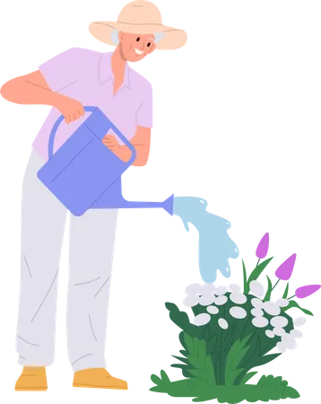 Happy Old Senior Retired Woman Cartoon Character Watering Flower From Can Sprayer Doing Garden Work Vector Illustration Isolated On White Elderly Female Pensioner Enjoying Gardening Hobby Activity Illustration