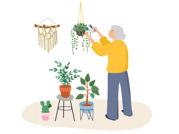 Old woman cutting plant  Illustration