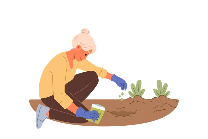 Old woman harvesting vegetables in her garden  Illustration