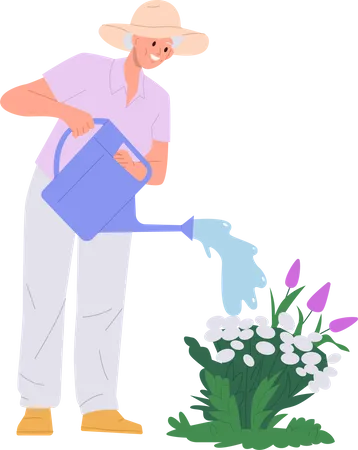 Old woman watering flower from can sprayer doing garden work  Illustration