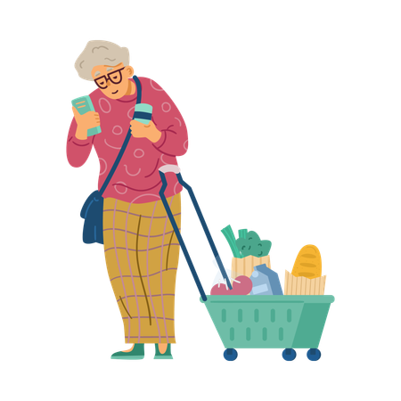 Old woman with shopping basket  Illustration