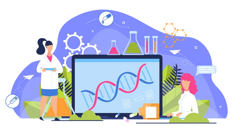 Online DNA Structure  Illustration