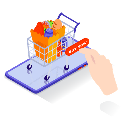 Online Grocery Shopping Illustration