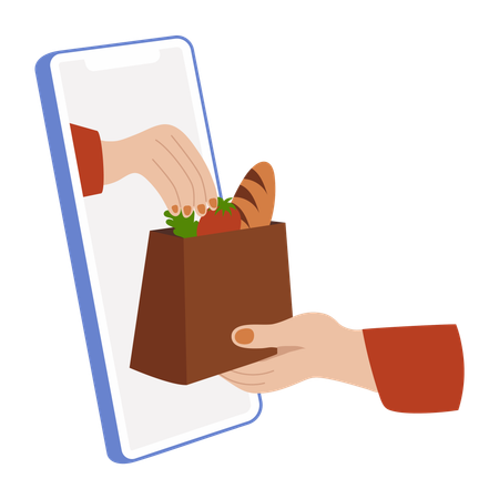 Online grocery shopping app  Illustration