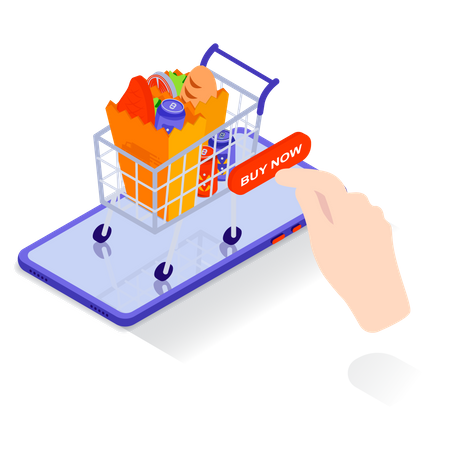 Online Grocery Shopping  Illustration