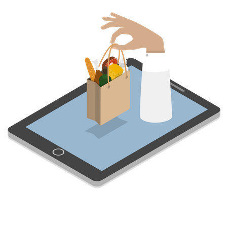 Online Grocery Shopping  Illustration