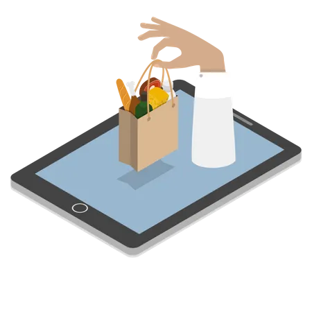 Online Grocery Shopping  Illustration