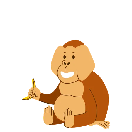 Orang-outan mangeant une banane  Illustration