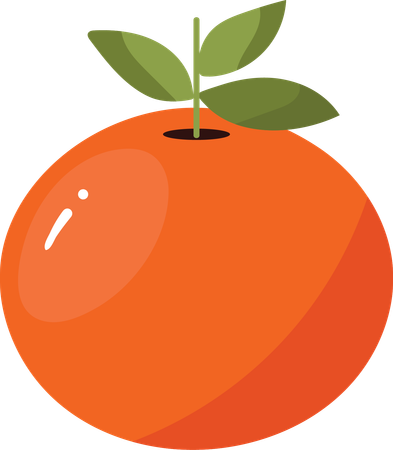 Orange  Illustration