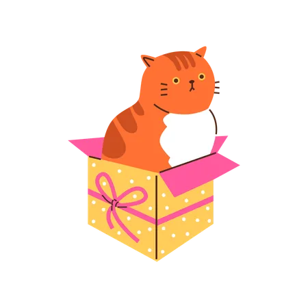 Orange cat sitting comfortably in a cardboard box  Illustration