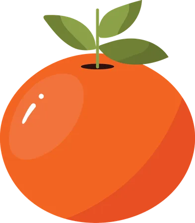 Orange  Illustration