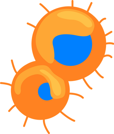 Orange microorganisms with blue cores  Illustration