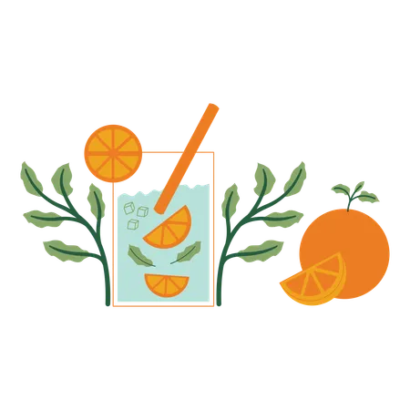 Orange mint with leaves and fruits  Illustration