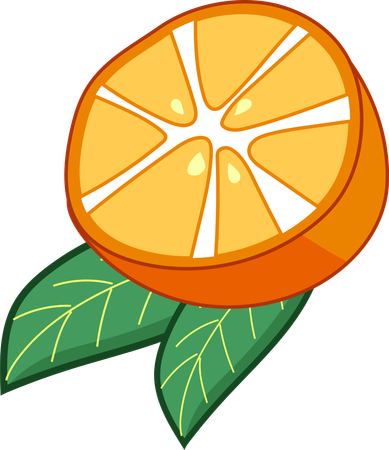 Orange Wedge  Illustration