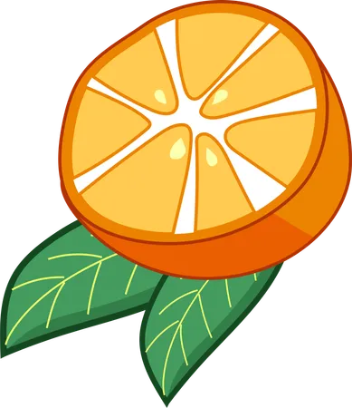 Orange Wedge  Illustration