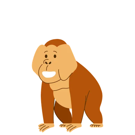 Vector Flat Character Collection Set Of Orangutan Illustration