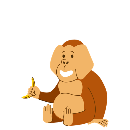 Orangutan Eating Banana  일러스트레이션