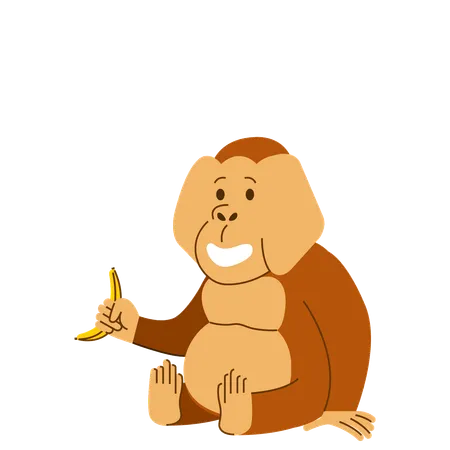 Orangutan Eating Banana  Illustration