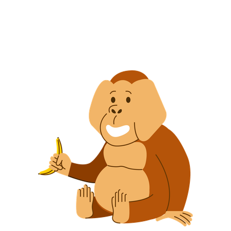 Orangutan Eating Banana  Illustration