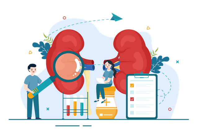 Organ Disease Checkup  Illustration