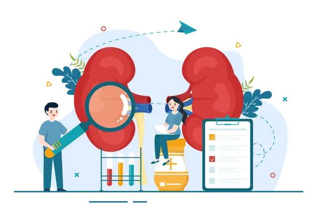 Organ Disease Checkup  Illustration