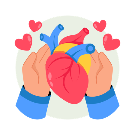 Organ Donation  Illustration
