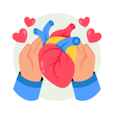 Organ Donation  Illustration