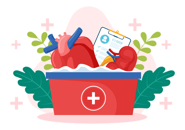 Organ Donor Day  Illustration